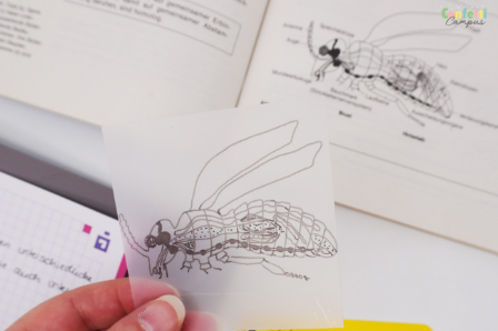 Notes transparentes pour enfants ayant besoin de repères